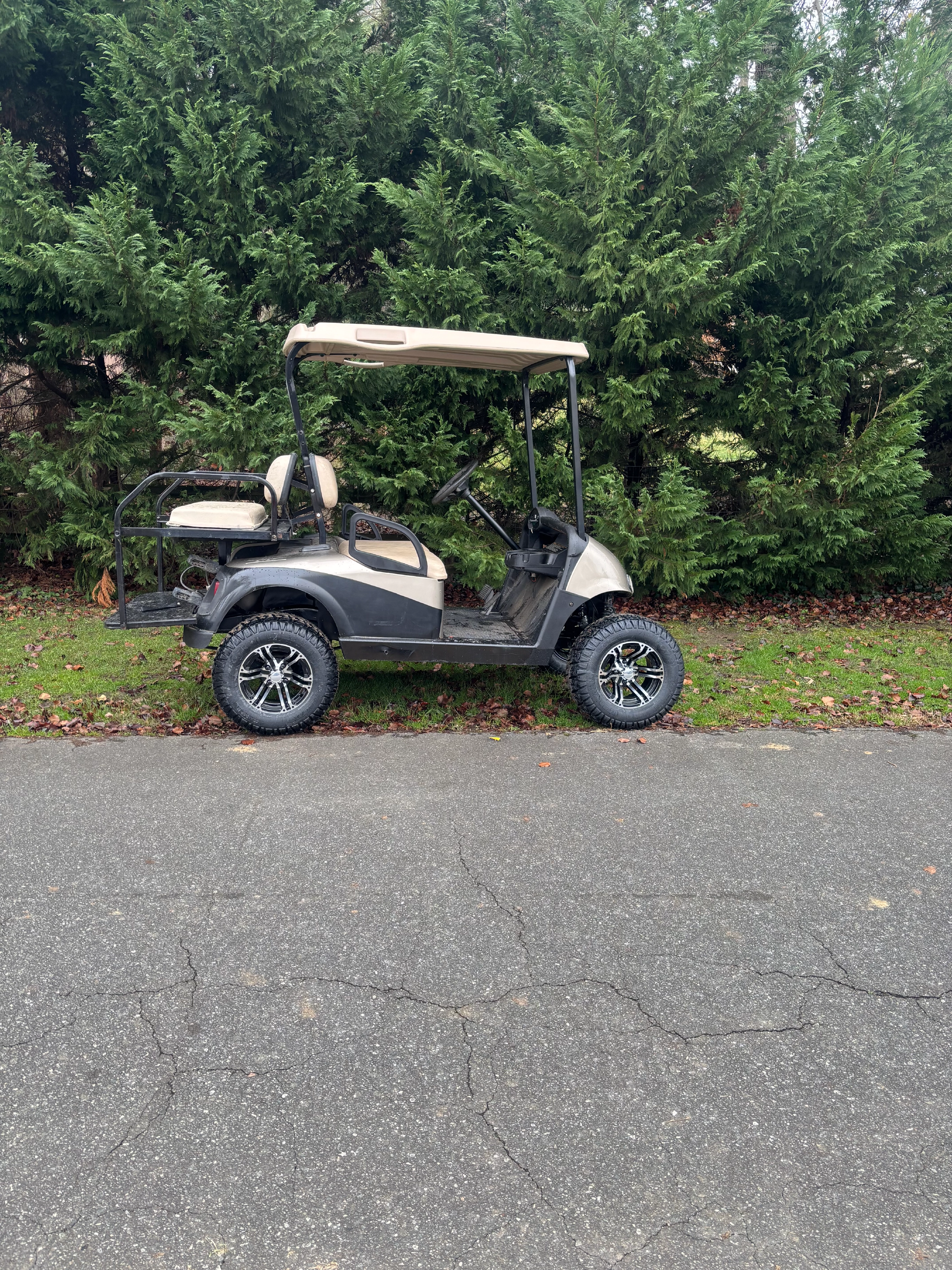 Electric Golf Cart